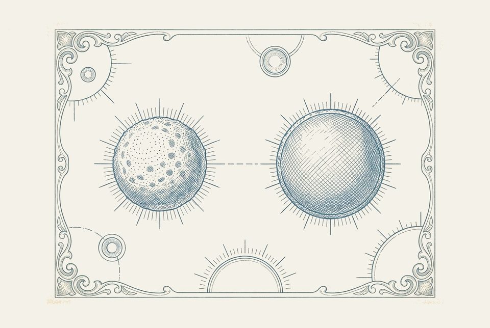 Vintage textbook plate met twee microscopische deeltjes naast elkaar