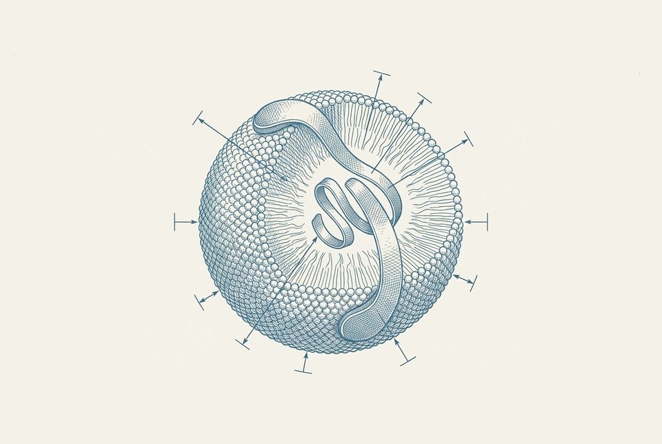Vintage textbook diagram van een LDL-deeltje als microscopische bol